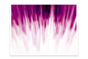 Segments #38 Segments #38