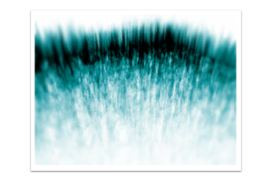 Segments #40 Segments #40