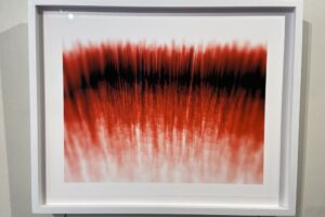 Segments no 14 (2020) Segments no 14 (2020)